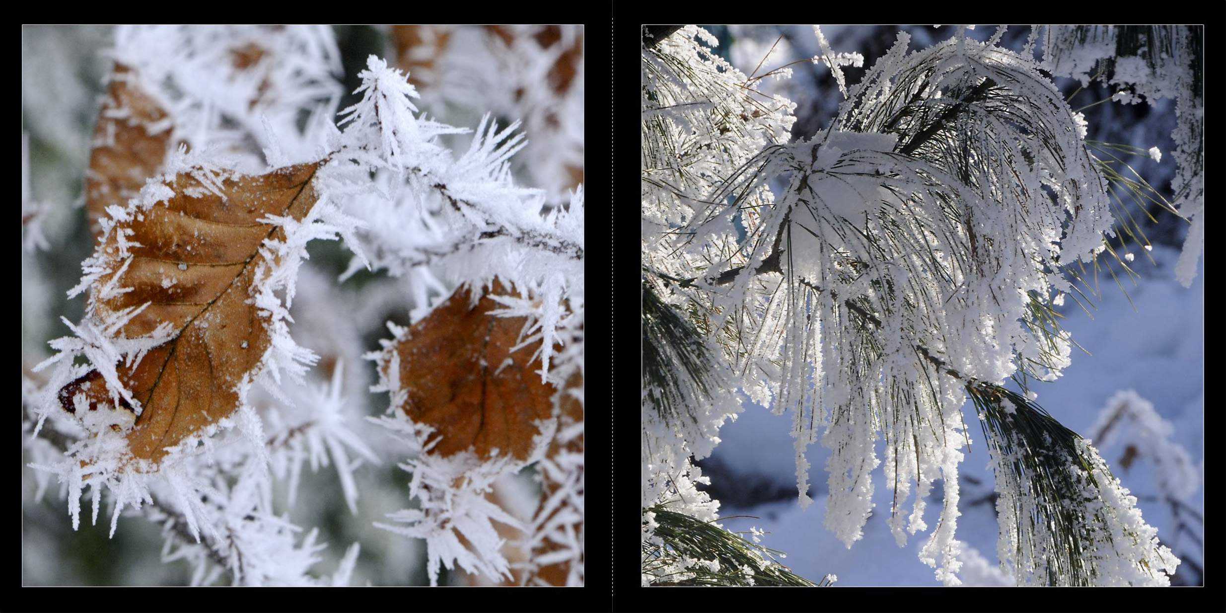 Wald_2011_004_Seiten_06_07