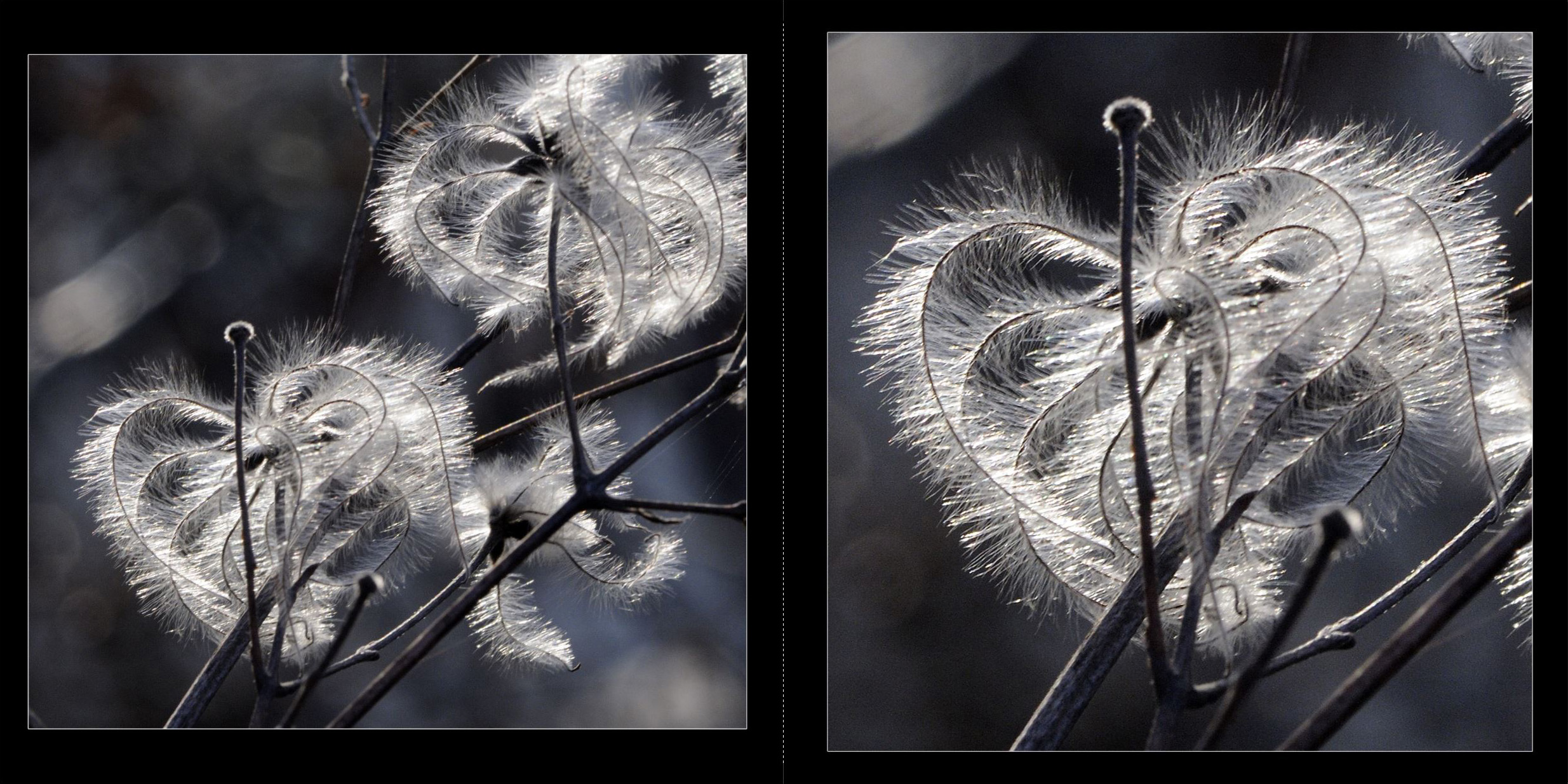 Wald_2011_009_Seiten_16_17