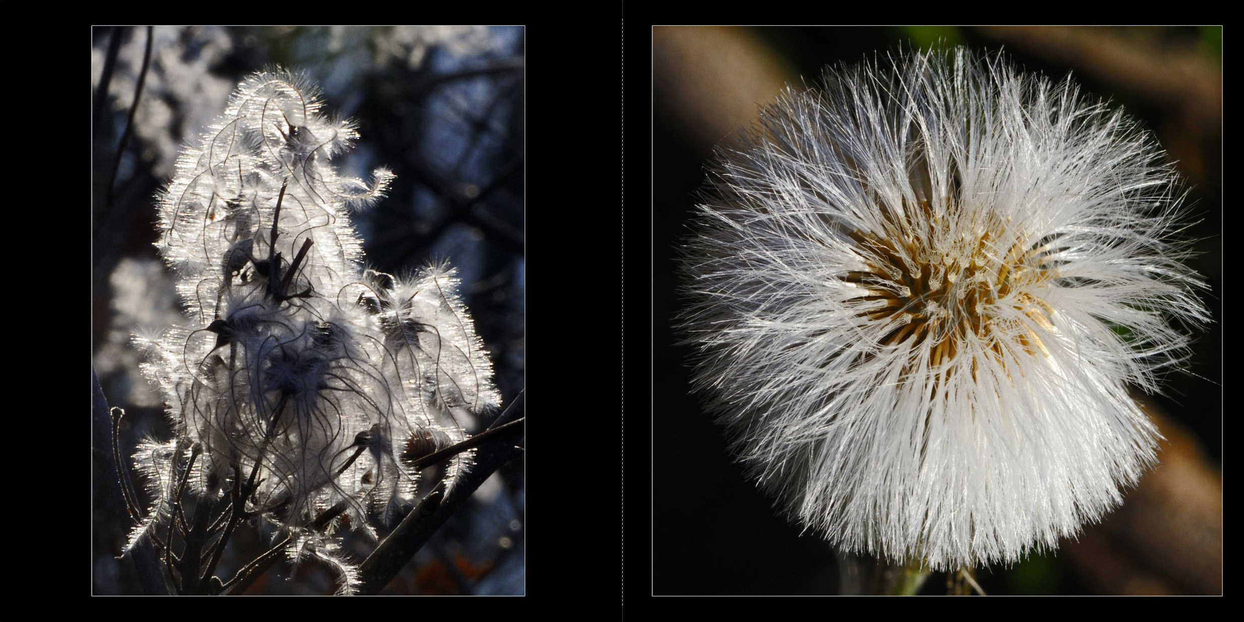 Wald_2011_010_Seiten_18_19