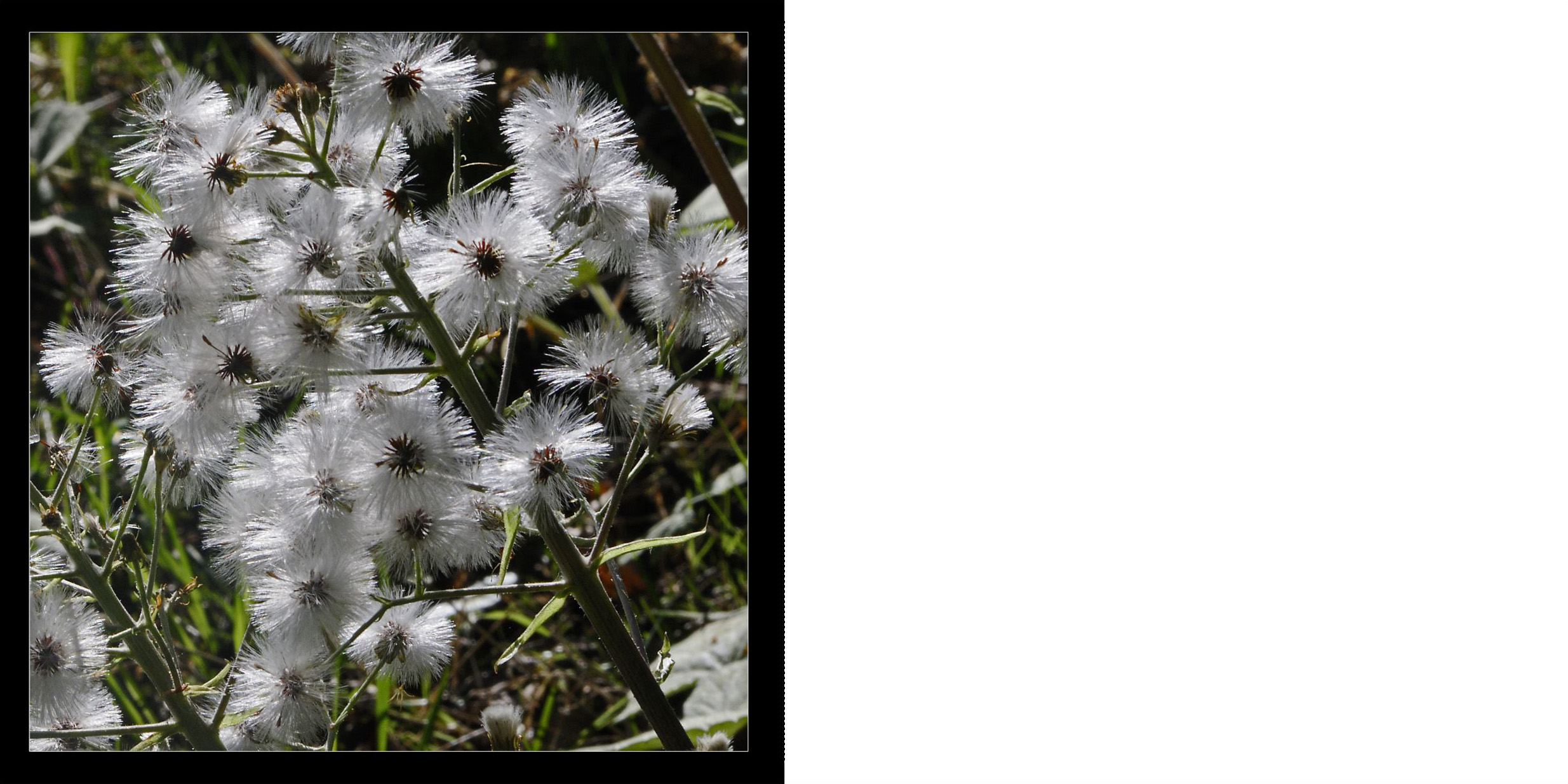 Wald_2011_014_Seite_26
